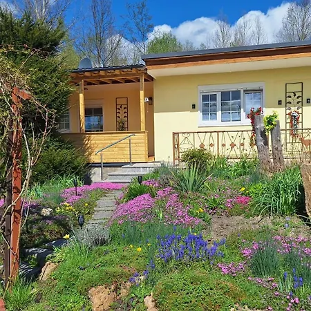 Amelie Seifhennersdorf