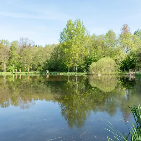 Amelie Seifhennersdorf