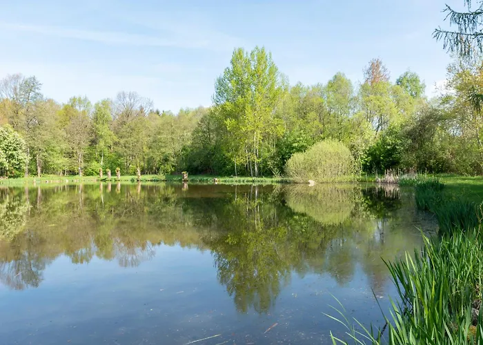 Amelie Seifhennersdorf